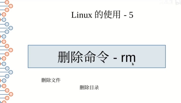 rm删除命令